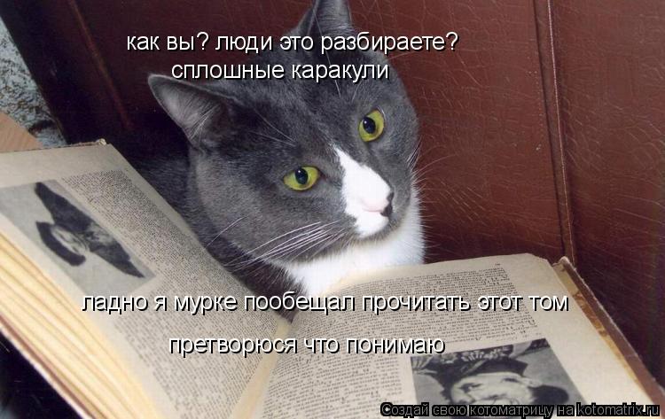 как вы? люди это разбираете? сплошные каракули ладно я мурке пообещал прочитать этот том претворюся ч... Котоматрица: как вы? люди это разбираете? сплошные каракули ладно я мурке пообещал прочитать этот том претворюся что понимаю