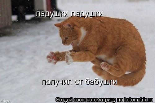 ладушки ладушки ладушки ладушки получил от бабушки... Котоматрица: ладушки ладушки ладушки ладушки получил от бабушки