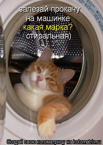 залезай прокачу на машинке какая марка? стиральная)... Котоматрица: залезай прокачу на машинке какая марка? стиральная)