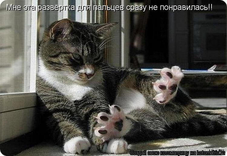Котоматрица: Мне эта развёртка для пальцев сразу не понравилась!!