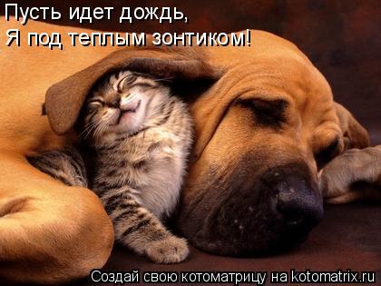 Котоматрица: Пусть идет дождь, Я под теплым зонтиком!