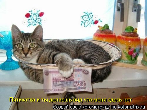 Котоматрица: Пятихатка и ты делаешь вид что меня здесь нет