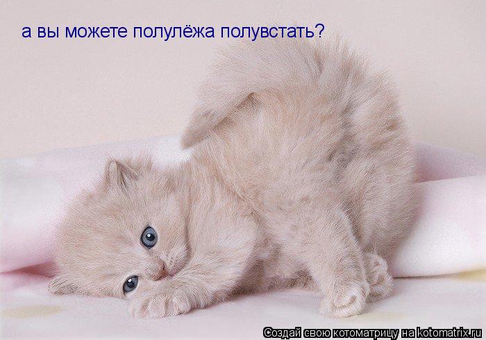 Котоматрица: а вы можете полулёжа полувстать?