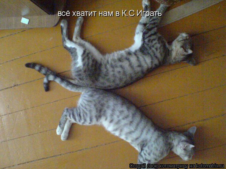Котоматрица: всё хватит нам в К.С Играть
