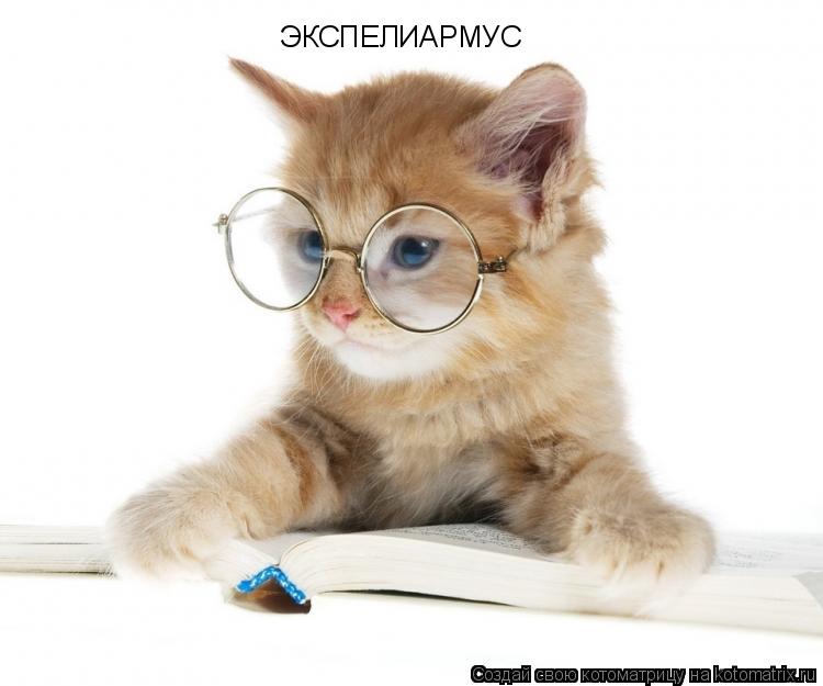 Котоматрица: ЭКСПЕЛИАРМУС