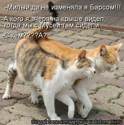 Котоматрица: -Милый,да не изменяла я Барсом!!! -А кого я вчера на крыше видел, -А кого я вчера на крыше видел, когда мы с Мусей там сидели.. -С кем????А?