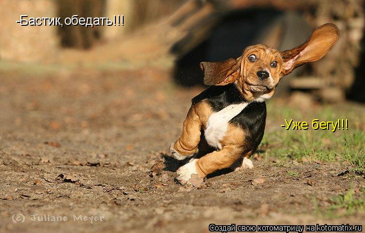 Котоматрица: -Бастик,обедать!!! -Уже бегу!!!