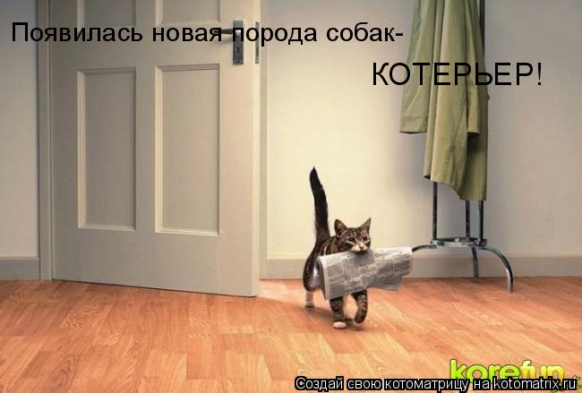 Котоматрица: Появилась новая порода собак- КОТЕРЬЕР!
