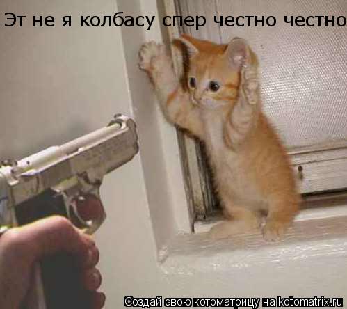 Котоматрица: Эт не я колбасу спер честно честно...