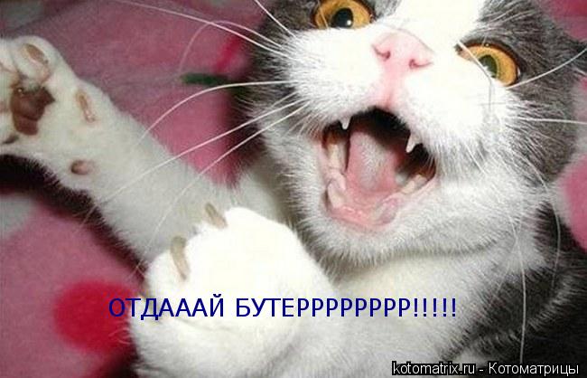 Котоматрица: ОТДАААЙ БУТЕРРРРРРРР!!!!!