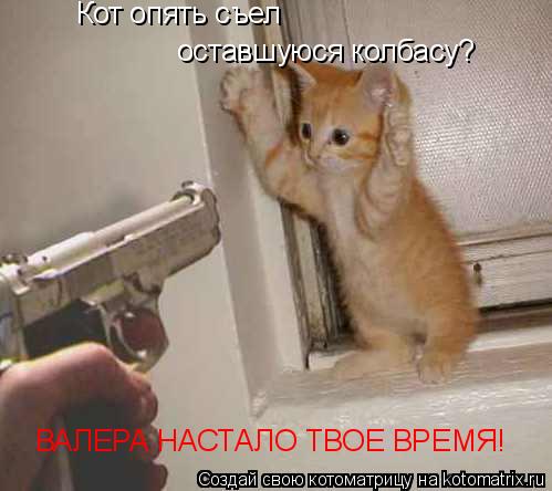 Кот опять съел оставшуюся колбасу? ВАЛЕРА НАСТАЛО ТВОЕ ВРЕМЯ!... Котоматрица: Кот опять съел оставшуюся колбасу? ВАЛЕРА НАСТАЛО ТВОЕ ВРЕМЯ!
