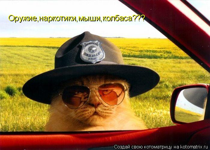 Оружие,наркотики,мыши,колбаса???... Котоматрица: Оружие,наркотики,мыши,колбаса???