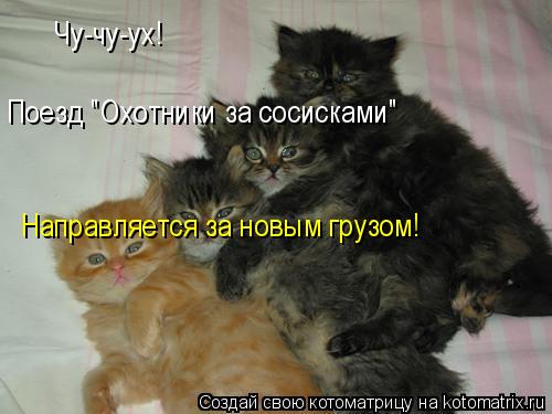 Чу-чу-ух! Поезд "Охотники за сосисками" Направляется за новым грузом!... Котоматрица: Чу-чу-ух! Поезд "Охотники за сосисками" Направляется за новым грузом!