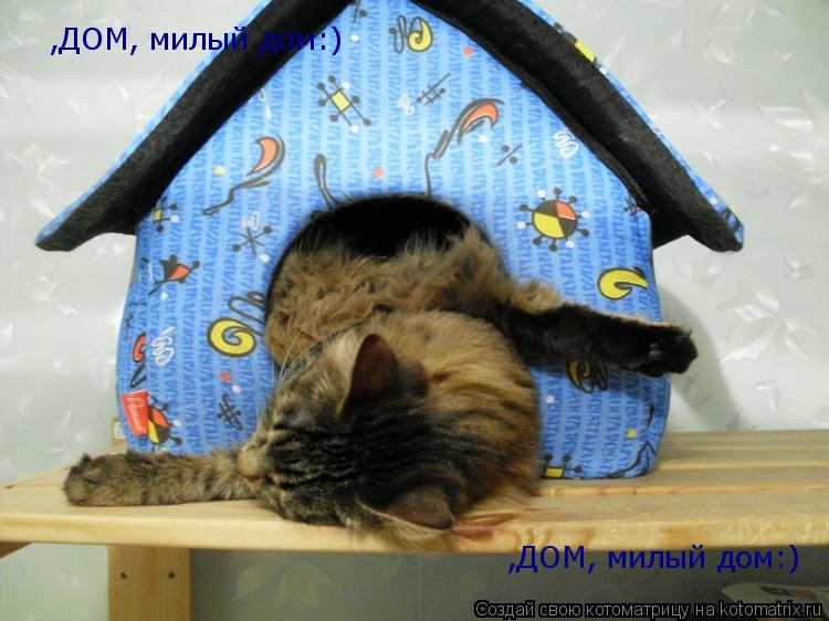 ,ДОМ, милый дом:) ,ДОМ, милый дом:)... Котоматрица: ,ДОМ, милый дом:) ,ДОМ, милый дом:)