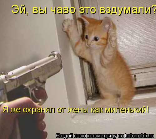 Эй, вы чаво это вздумали? Я же охранял от жены как миленький!... Котоматрица: Эй, вы чаво это вздумали? Я же охранял от жены как миленький!