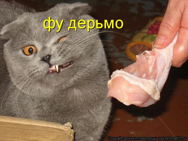фу дерьмо... Котоматрица: фу дерьмо