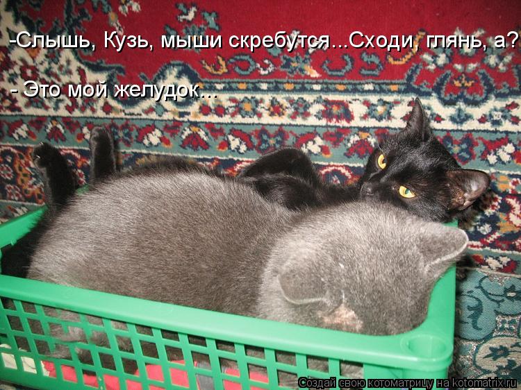 -Слышь, Кузь, мыши скребутся...Сходи, глянь, а? - Это мой желудок...... Котоматрица: -Слышь, Кузь, мыши скребутся...Сходи, глянь, а? - Это мой желудок...