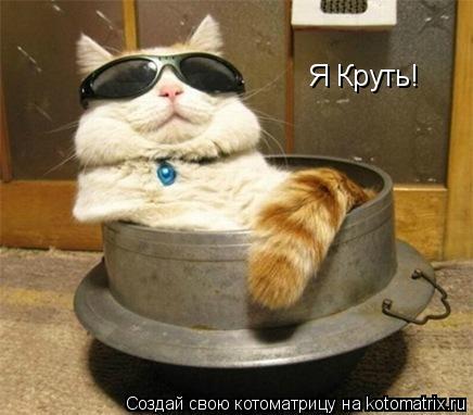 Я Круть!... Котоматрица: Я Круть!