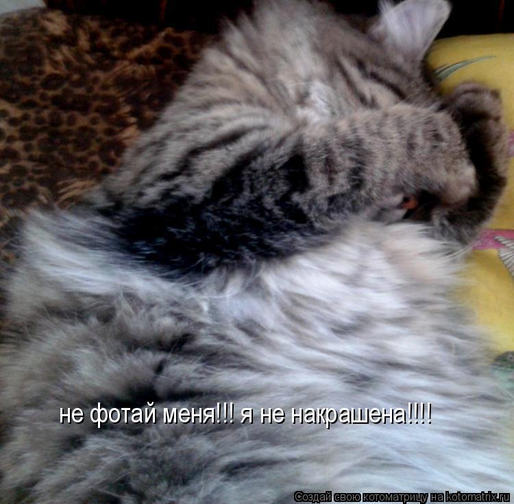 не фотай меня!!! я не накрашена!!!!... Котоматрица: не фотай меня!!! я не накрашена!!!!