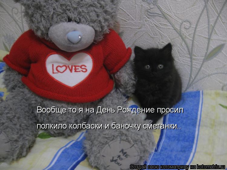 Вообще то я на День Рождение просил полкило колбаски и баночку сметанки..... Котоматрица: Вообще то я на День Рождение просил полкило колбаски и баночку сметанки..