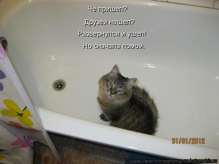 Че пришел? Друзей нашел? Развернулся и ушел! Но сначала помой.... Котоматрица: Че пришел? Друзей нашел? Развернулся и ушел! Но сначала помой.