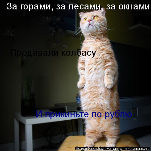 За горами, за лесами, за окнами..... Продавали колбасу И прикиньте по рублю... Котоматрица: За горами, за лесами, за окнами..... Продавали колбасу И прикиньте по рублю