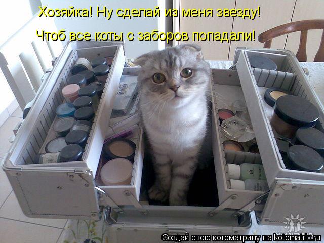 Хозяйка! Ну сделай из меня звезду! Чтоб все коты с заборов попадали!... Котоматрица: Хозяйка! Ну сделай из меня звезду! Чтоб все коты с заборов попадали!