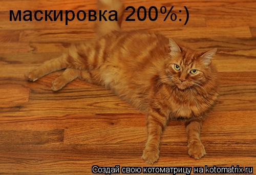 маскировка 200%:)... Котоматрица: маскировка 200%:)