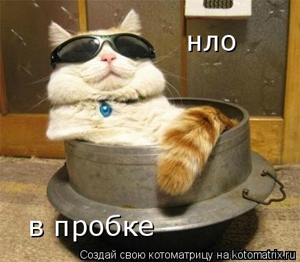 нло в пробке... Котоматрица: нло в пробке