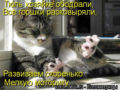 Тюль хозяйке ободрали, Все горшки расковыряли, Мелкую моторику. Развиваем скоренько... Котоматрица: Тюль хозяйке ободрали, Все горшки расковыряли, Мелкую моторику. Развиваем скоренько