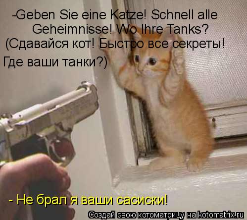 Котоматрица: -Geben Sie eine Katze! Schnell alle Geheimnisse! Wo Ihre Tanks? (Сдавайся кот! Быстро все секреты! Где ваши танки?) - Не брал я ваши сасиски!