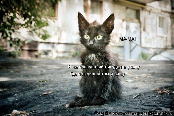 МА-МА! Я же послушный-никуда не ухожу Где потерялся там и сижу... Котоматрица: МА-МА! Я же послушный-никуда не ухожу Где потерялся там и сижу