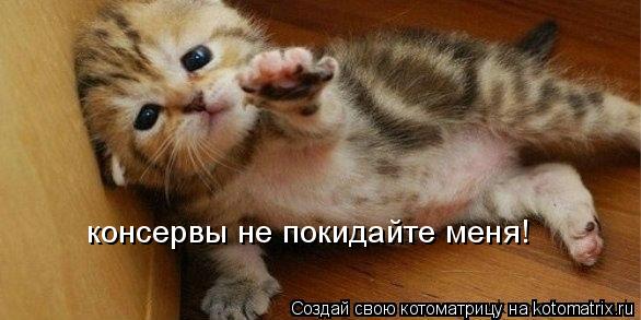консервы не покидайте меня!... Котоматрица: консервы не покидайте меня!