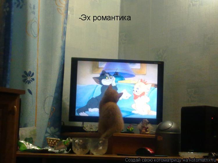 -Эх романтика... Котоматрица: -Эх романтика