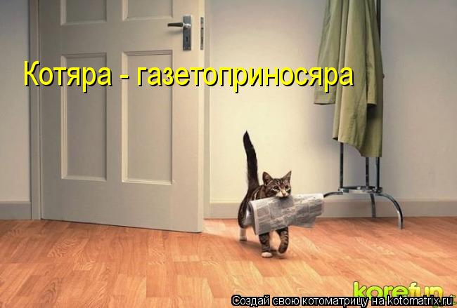 Котяра - газетоприносяра... Котоматрица: Котяра - газетоприносяра