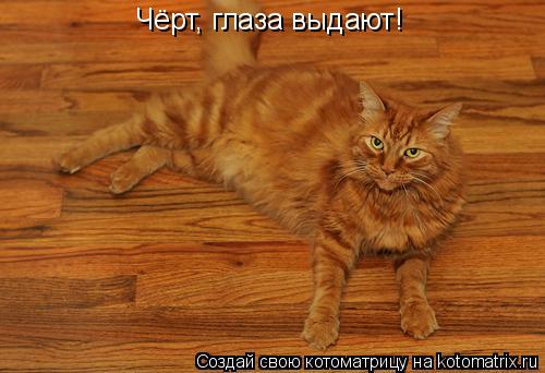 Чёрт, глаза выдают!... Котоматрица: Чёрт, глаза выдают!