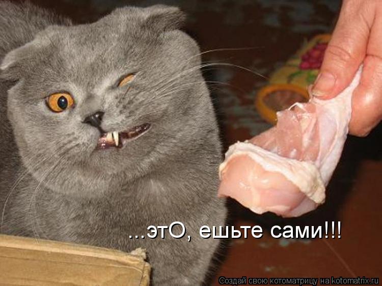 ...этО, ешьте сами!!!... Котоматрица: ...этО, ешьте сами!!!