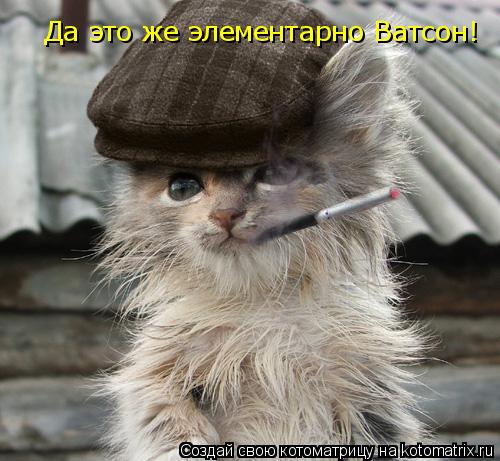 Да это же элементарно Ватсон!... Котоматрица: Да это же элементарно Ватсон!