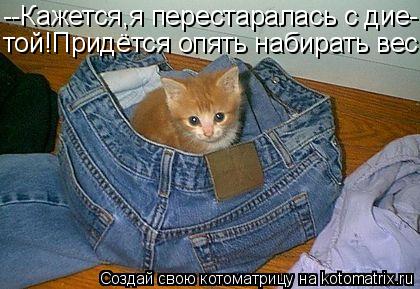 --Кажется,я перестаралась с дие- той!Придётся опять набирать вес!... Котоматрица: --Кажется,я перестаралась с дие- той!Придётся опять набирать вес!