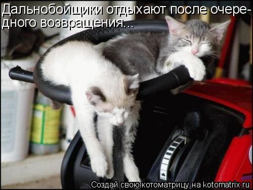 Дальнобойщики отдыхают после очере- дного возвращения...... Котоматрица: Дальнобойщики отдыхают после очере- дного возвращения...