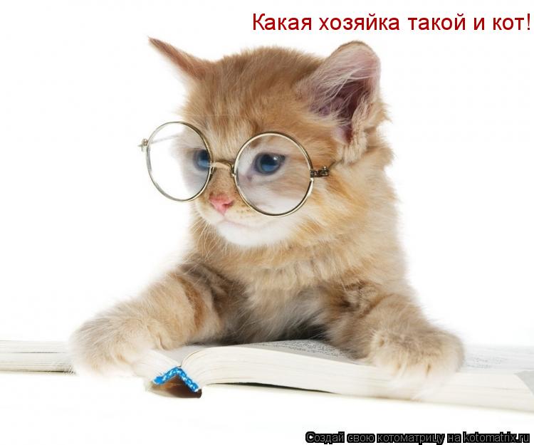 Какая хозяйка такой и кот!... Котоматрица: Какая хозяйка такой и кот!