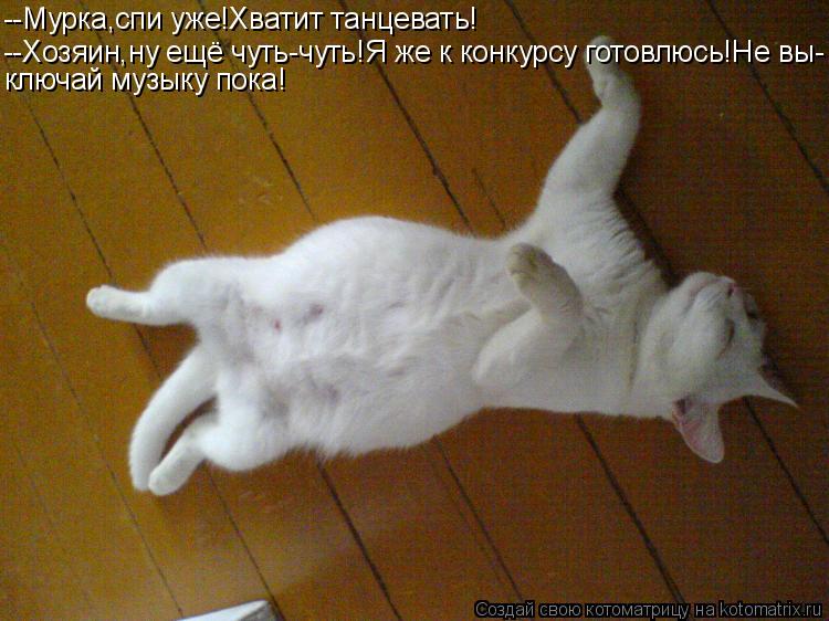 --Мурка,спи уже!Хватит танцевать! --Хозяин,ну ещё чуть-чуть!Я же к конкурсу готовлюсь!Не вы- ключай м... Котоматрица: --Мурка,спи уже!Хватит танцевать! --Хозяин,ну ещё чуть-чуть!Я же к конкурсу готовлюсь!Не вы- ключай музыку пока!