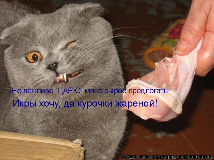 -Не вежливо, ЦАРЮ, мясо сырое предлогать! Икры хочу, да курочки жареной!... Котоматрица: -Не вежливо, ЦАРЮ, мясо сырое предлогать! Икры хочу, да курочки жареной!