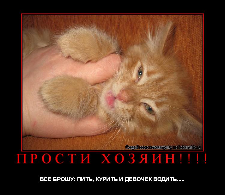 Котоматрица: Прости хозяин!!!! ВСЕ БРОШУ: ПИТЬ, КУРИТЬ И ДЕВОЧЕК ВОДИТЬ.....