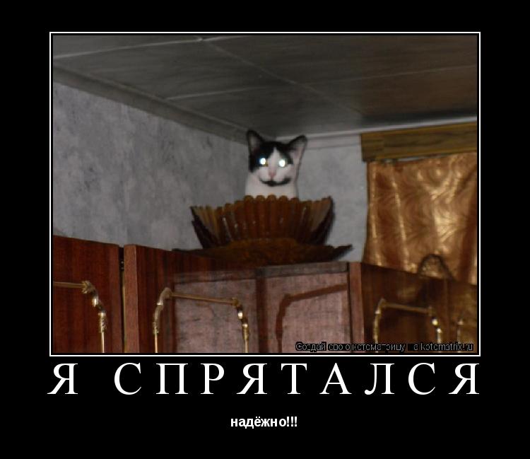 я спрятался надёжно!!!... Котоматрица: я спрятался надёжно!!!