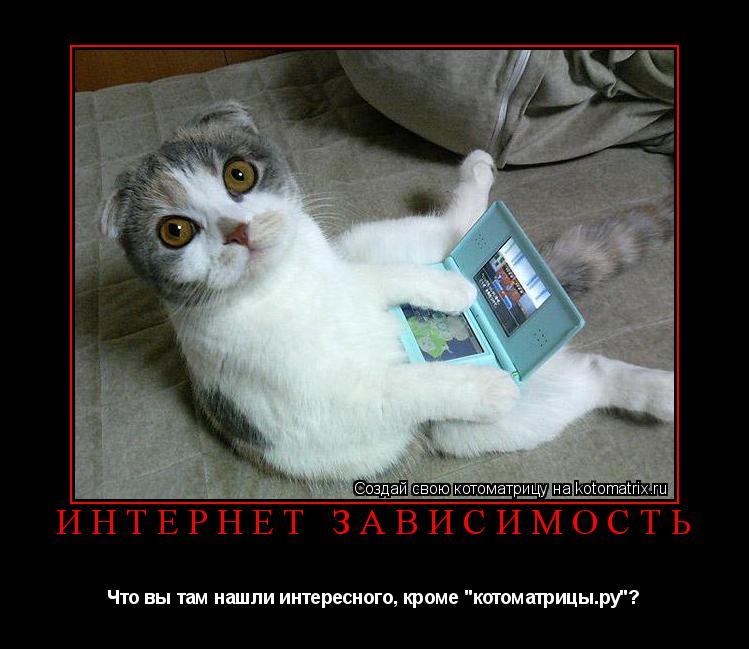Интернет зависимость Что вы там нашли интересного, кроме "котоматрицы.ру"?... Котоматрица: Интернет зависимость Что вы там нашли интересного, кроме "котоматрицы.ру"?
