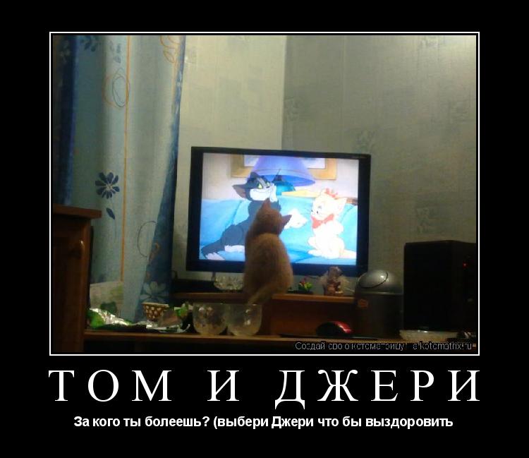 Том и Джери За кого ты болеешь? (выбери Джери что бы выздоровить... Котоматрица: Том и Джери За кого ты болеешь? (выбери Джери что бы выздоровить