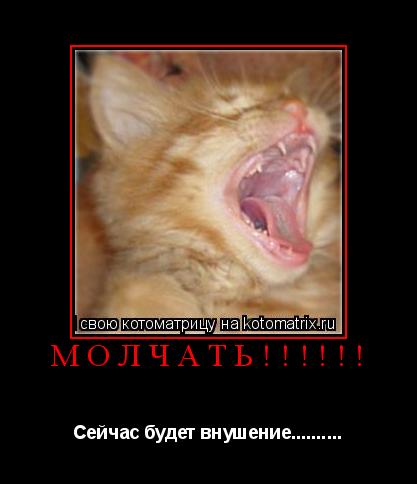 Котоматрица: МОЛЧАТЬ!!!!!! Сейчас будет внушение..........