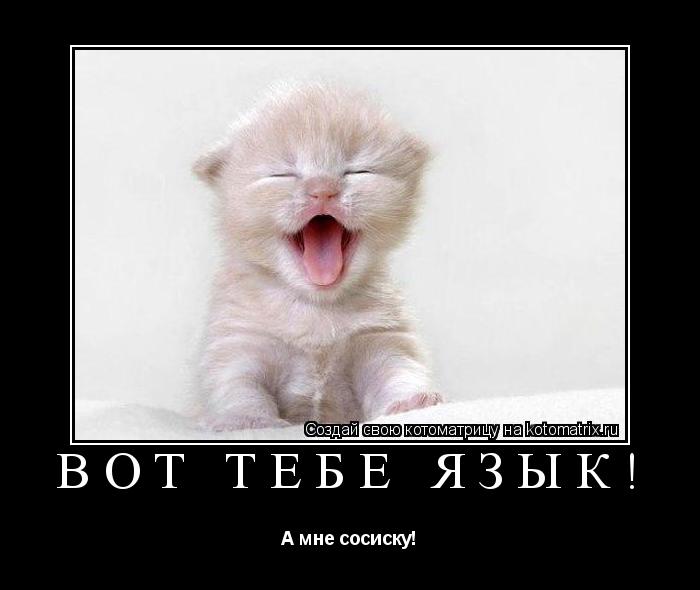 Котоматрица: Вот тебе язык! А мне сосиску!