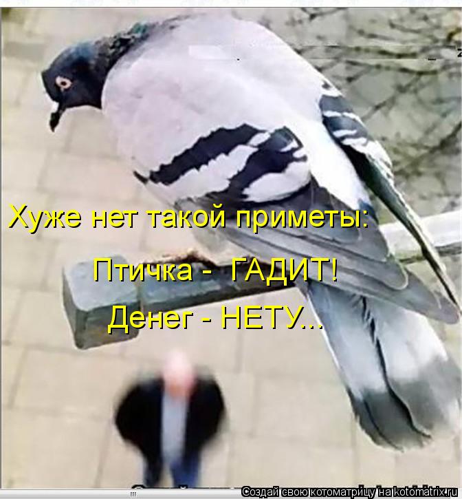 Хуже нет такой приметы: Птичка - ГАДИТ! Денег - НЕТУ...... Котоматрица: Хуже нет такой приметы: Птичка - ГАДИТ! Денег - НЕТУ...